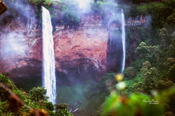 20210919065359_IMG_5445