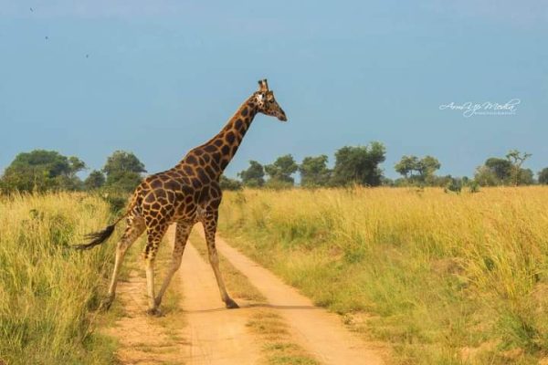 FB_IMG_1642692091369